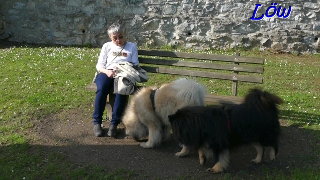 19.4.2025 - Diskurs mit der Tante